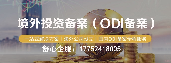ODI備案申報