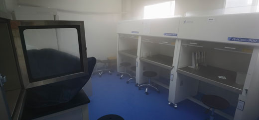 長(zhǎng)沙學(xué)校除甲醛